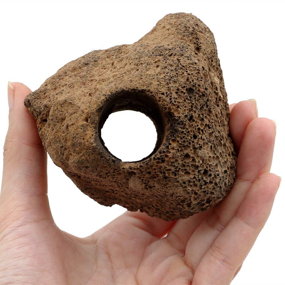 Amazon | 《一旦非表示》形状お任せ 穴あき溶岩石（約7～12cm 穴